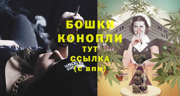 spice Бронницы