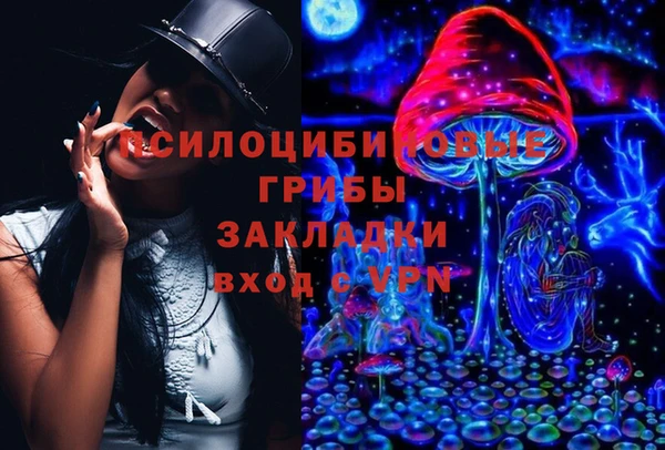 мяу мяу мука Бородино
