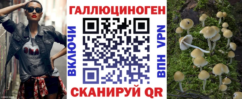 Купить где  Кинешма  Псилоцибиновые грибы прущие грибы 