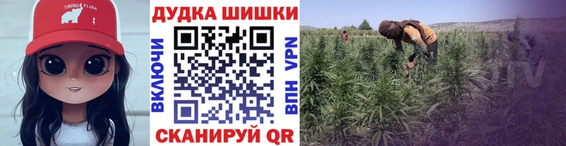 Бошки марихуана план Купить где Кинешма